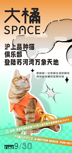 瓜瓜瓜瓜ggg采集到动物
