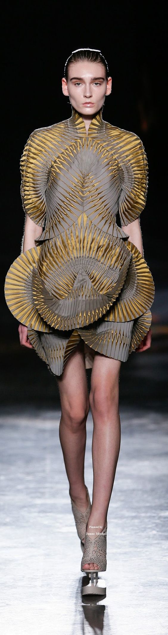 Iris van Herpen Coll...