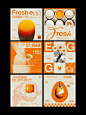 webp (1)