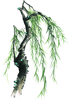 ~摘星许愿~采集到png(植物)