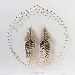 #设计秀# #设计第二自然# #剪纸艺术# #纸雕# #匠心手作#

Beautiful Cut Feather Art ，Chris Maynard， ​​​​