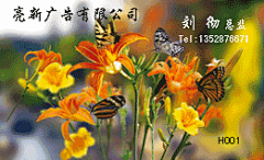 3d立体动态桌面壁纸_百度图片搜索