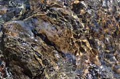 在底端,小溪,透明,水,水下,纯净,石头,鹅卵石,白色,海滩