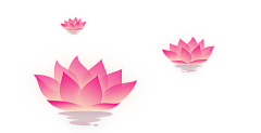 U*ko采集到ui