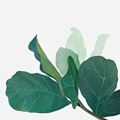 ins风春天绿色植物免抠素材_元小素 https://iipng.com ins 卡通 手绘植物 春天 植物 水彩 绿色