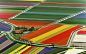 Holland's bulb fields in bloom