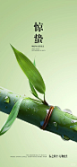 简约惊蛰海报|二十四节气节气海报|中国风