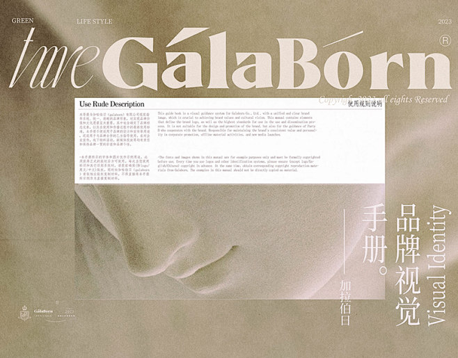1.基础部分 |GALABORN品牌识别...
