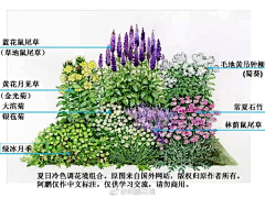 levent_ny采集到植物|种植设计