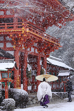 爽爽的yu~采集到雪景