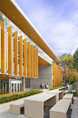York House Senior School / Acton Ostry Architects - 谷德设计网