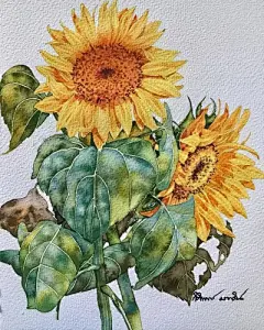 水彩－堆糖，美好生活研究所