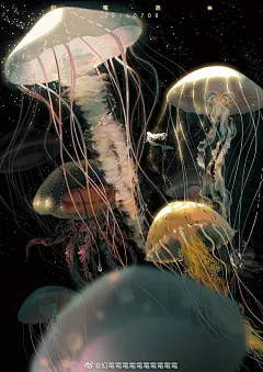 水母  画师：幻电