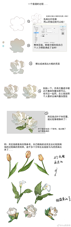 松鼠小丘采集到【线稿-花，植物】