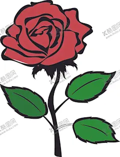 玫瑰花鲜花植物花朵红花卡通手绘 【酷图网】玫瑰花图片,玫瑰花壁纸,露朵珠,雨水,素材图片,红玫瑰,月季花,鲜花素材,真花,创意图片,花瓣,唯美图片,唯美壁纸,壁纸图片,电脑壁纸,服装图案,服装印花,T恤印花,情人节,情人节图片,花,花卉,花蕊,爱情,绿色植物,植物图片,花草