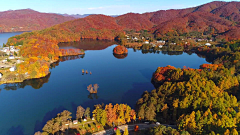 Sai_bo采集到湿地公园