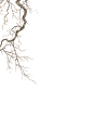 樱花1
