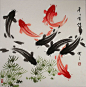 Chinese Koi Fish Paintings Photograph - c photos and wallpapers: 