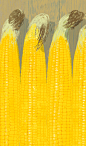 玉米黄色