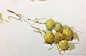 【色彩单个塑造注意事项】

1、要把握每个物体的造型特征，将形的穿插关系画清楚。
2、一般情况下亮部偏冷暗部偏暖，中间是固有色相对会纯一些
3、投影一定要压重，并注意投影的虚实变化。
4、一笔一定要清晰，，最实的地方应该是在明暗交界线
5、关键点的缝隙一定要卡进去。 ​​​​...展开全文c