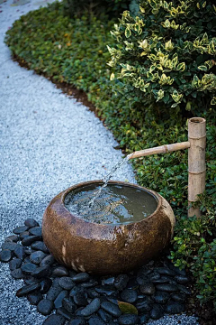 风信子花园Sunny采集到花园流水钵