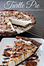 turtle cheesecake pie http://sulia.com/my_thoughts/835a04b9-4343-4939-8ea1-accbede1d863/?source=pin&action=share&btn=big&form_factor=desktop