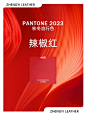 2023秋冬流行色分享｜源于秋冬色彩绝佳搭配