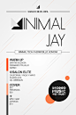 Minimal Jay Flyer -简洁版式 #采集大赛#http://huaban.com/pins/239644829/#