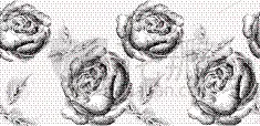 玫瑰,图像特效,玷污的,线条画,传单,灰色,自然美,花,溅,问候