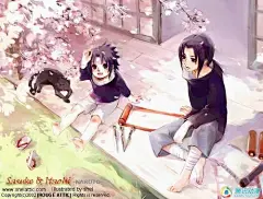 不看后悔，总有一个你喜欢的。
SHEL 
本名：杨菊 
生日：5月20日 
籍贯：广东 
星座：金牛 
主要创作经历：2003年中开始在〈漫友STORY100〉现〈新蕾STORY100〉上发表插图 
曾在〈漫友〉刊系发表过的作品：〈成功的错位〉 〈夏日终年〉 〈你遇见谁〉 〈三个人的晚餐——四季组曲〉 〈如果声音不记得〉等系列插图等 火影同人若干 
喜欢的漫画作品：〈火影忍者〉 〈水果篮子〉〈GOKISEN〉 
喜欢的漫画或插画家：高桥留美子 沙村广明 贞本义行 鹤田谦二 Lisbeth