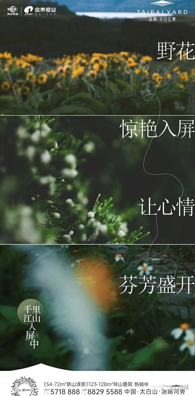 金泰太白云境