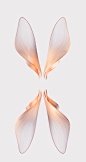 OPPO Find N2 Flip Stock Wallpapers & Live Wallpapers is Here