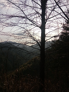 初耳采集到风景