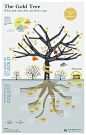 The Gold Tree - Forms of gold investment, uses and sources of gold | Visual.ly