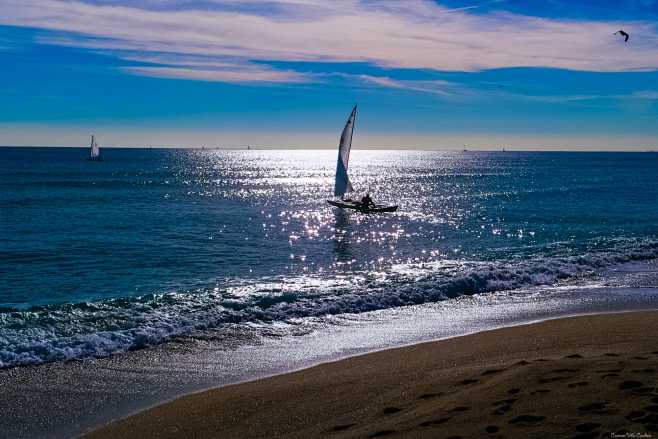 海滩 帆船  