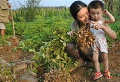 一路向北旅行采集到山东临沂特产自制红薯粉皮