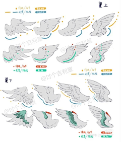 桃七MIA采集到【素材】翅膀参考