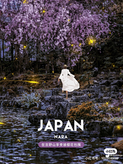 蓝的海haii采集到野外