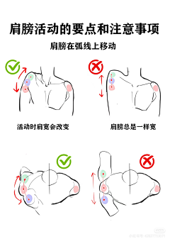 北冥扶风采集到男性人体结构