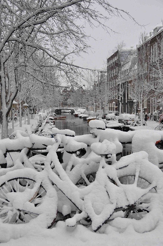 在荷兰阿姆斯特丹的冰周期