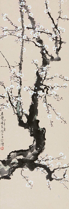 ·潘神采集到梅花