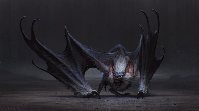 Bat-花瓣网