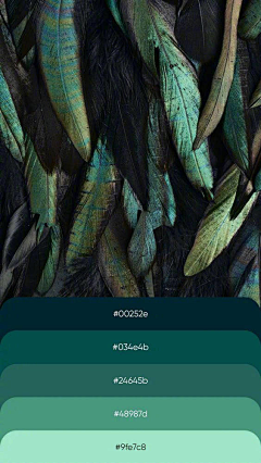 王其其呀采集到配色