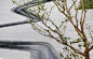苏州中航樾园内庭院 / 张唐景观 : 曲水流觞蜿蜒穿梭在疏影婆娑树林当中。