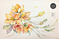 水彩花卉 雀梅－P.PNG自由行走的花