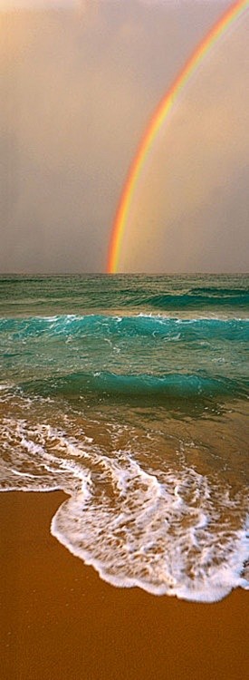Rainbow into sea~so ...