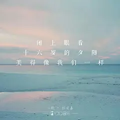 林宥嘉《心酸》闭上眼看十六岁的夕阳 美的像我们一样（文字 句子 锁屏 语录 校园 毕业 键盘 壁纸 歌词 原创）