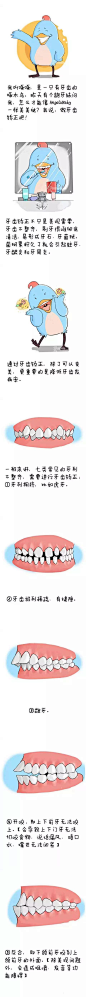 图片：一幅漫画告诉你牙齿矫正的重要性！_微信热文 : 在 Google 上搜索到的图片（来源：wxrw123.com）