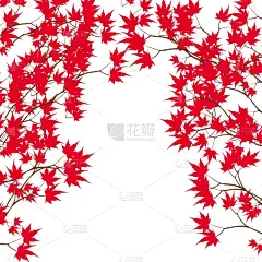 红色,枝,枫叶,贺卡,白昼,准确,概念,秋天,问候,爱