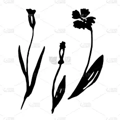 手绘矢量插图的盛开的花。标志设计元素为夏季系列